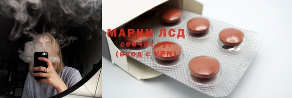 индика Верея
