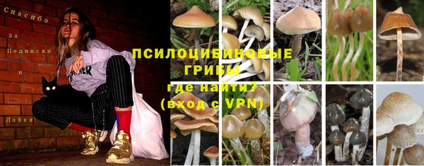 PSILOCYBIN Володарск