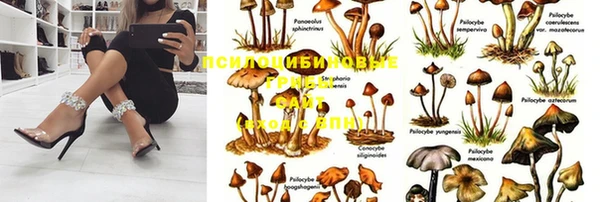 PSILOCYBIN Володарск